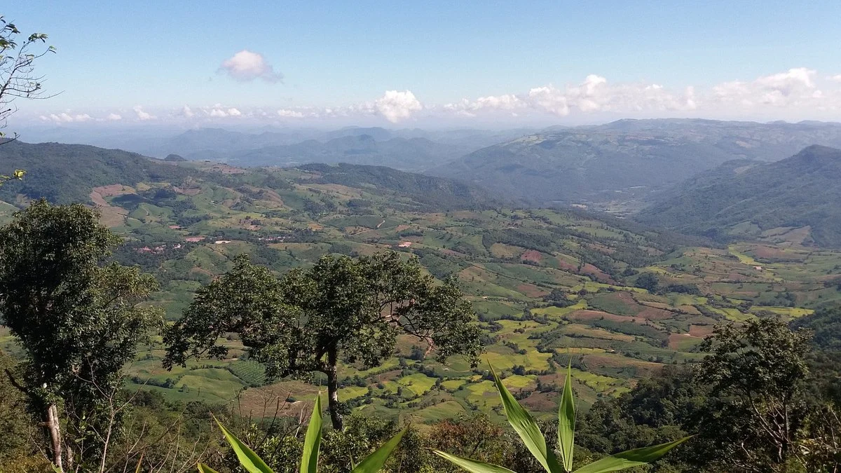 Phu Bo Bit