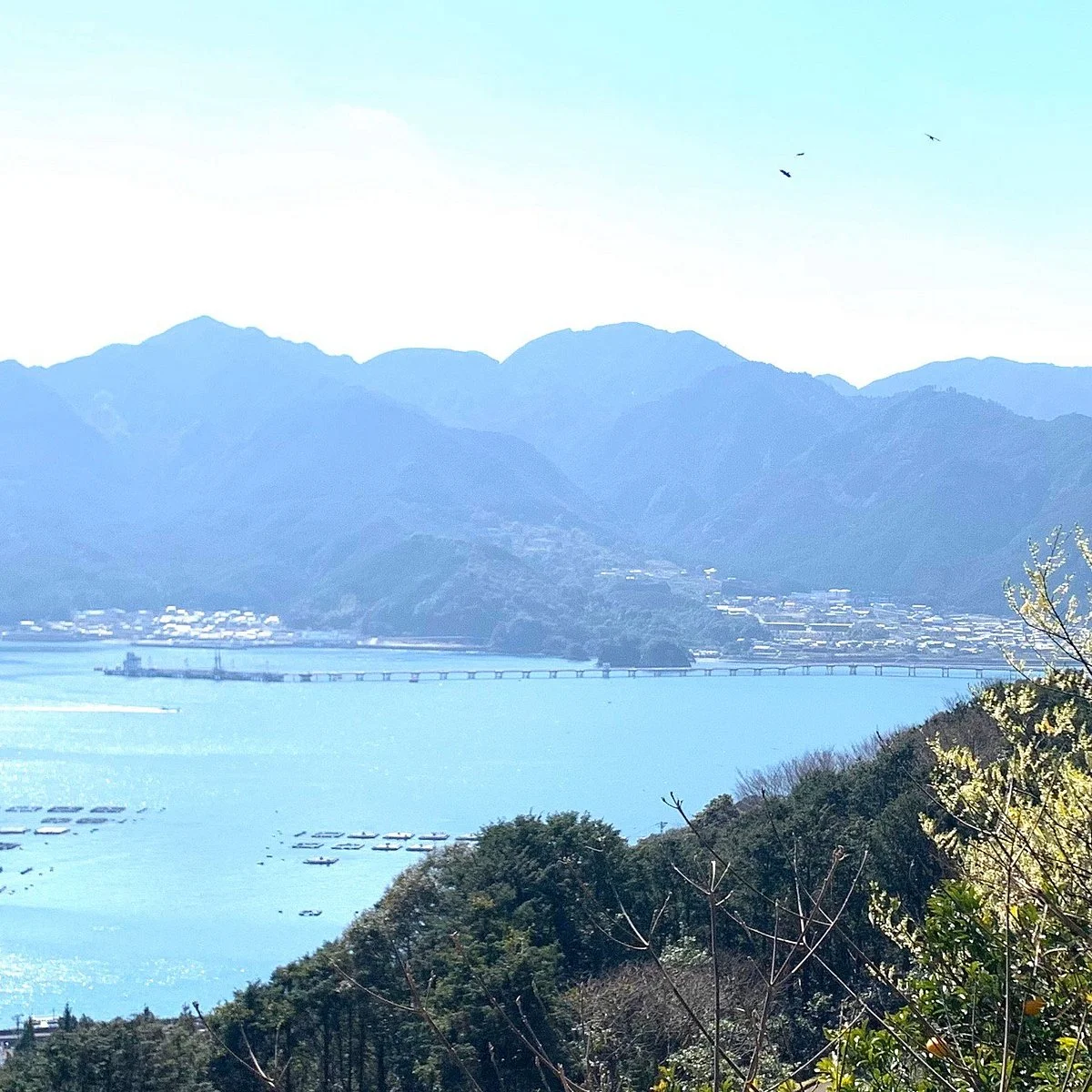 Owase Bay