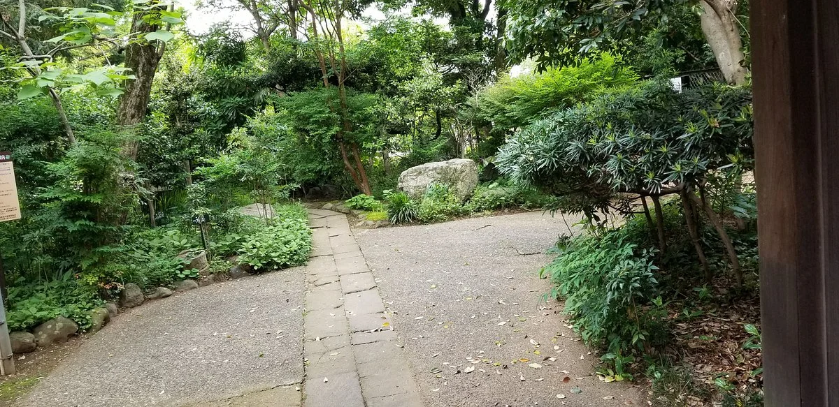 Imafuku Yakuimon Park