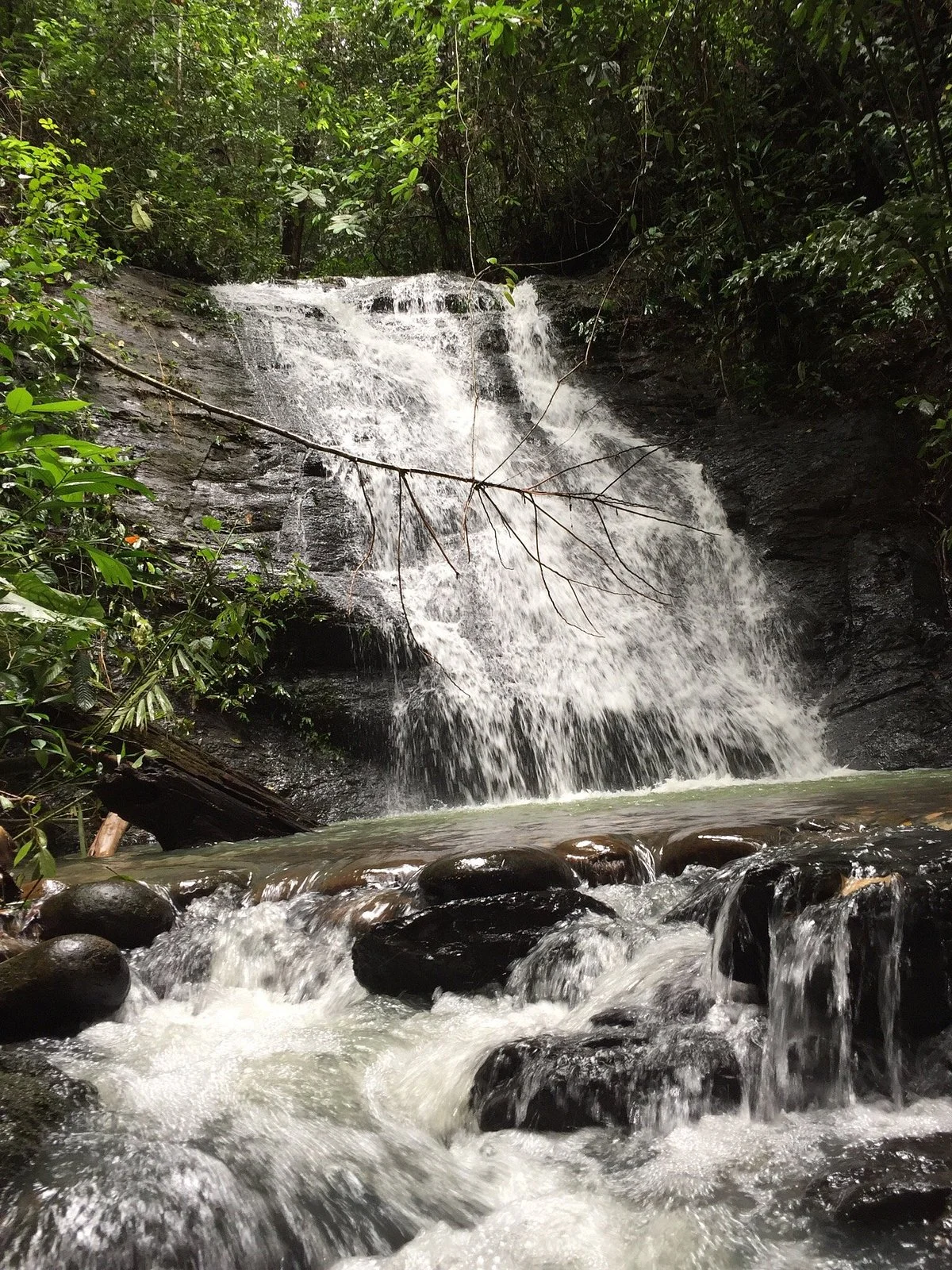 Ulu Temburong National Park