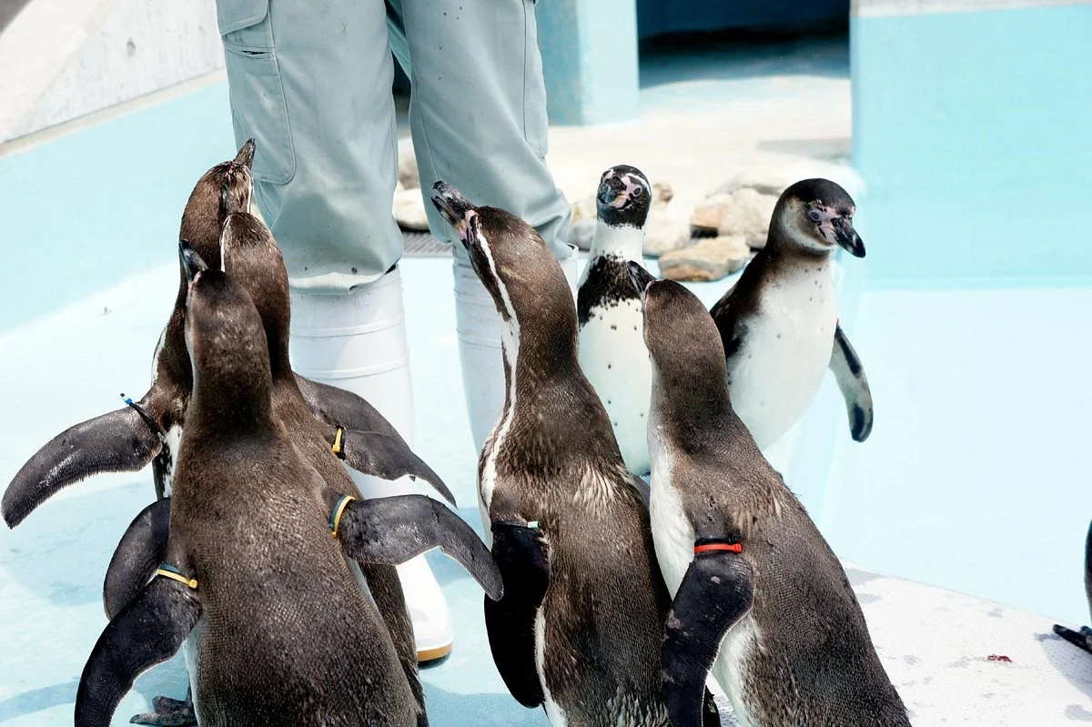 Suzaka City Zoo