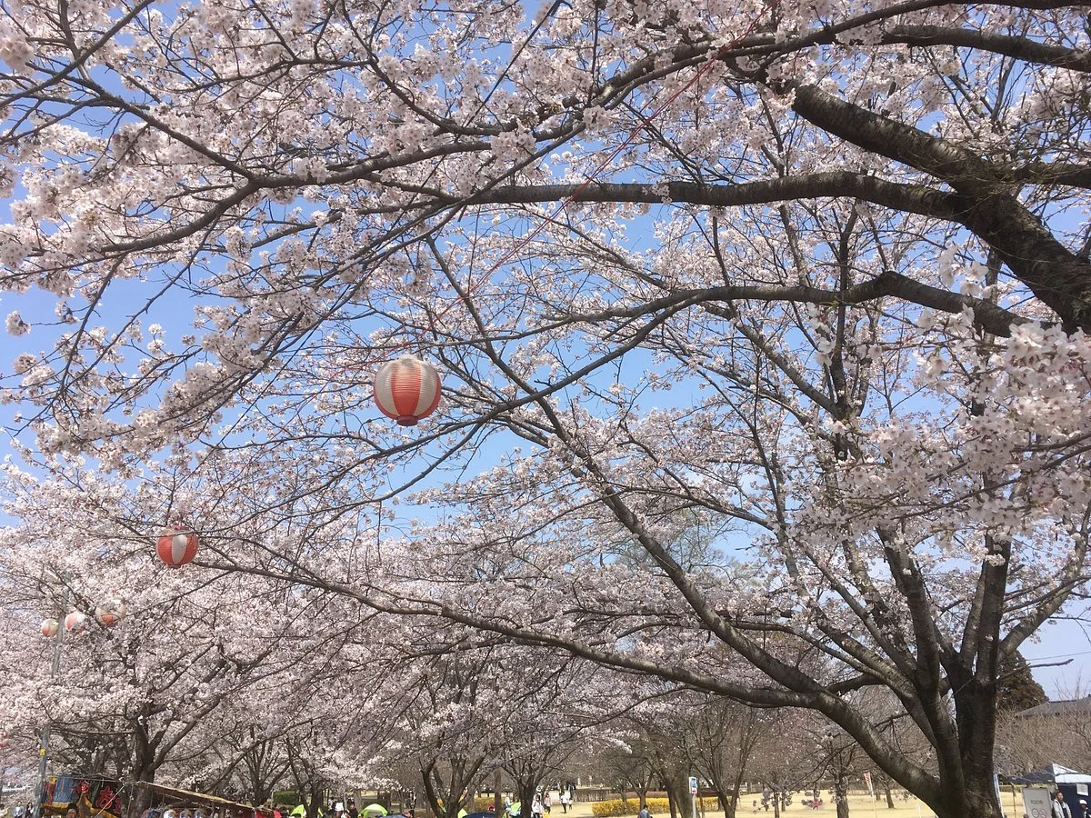 Shinonome Park