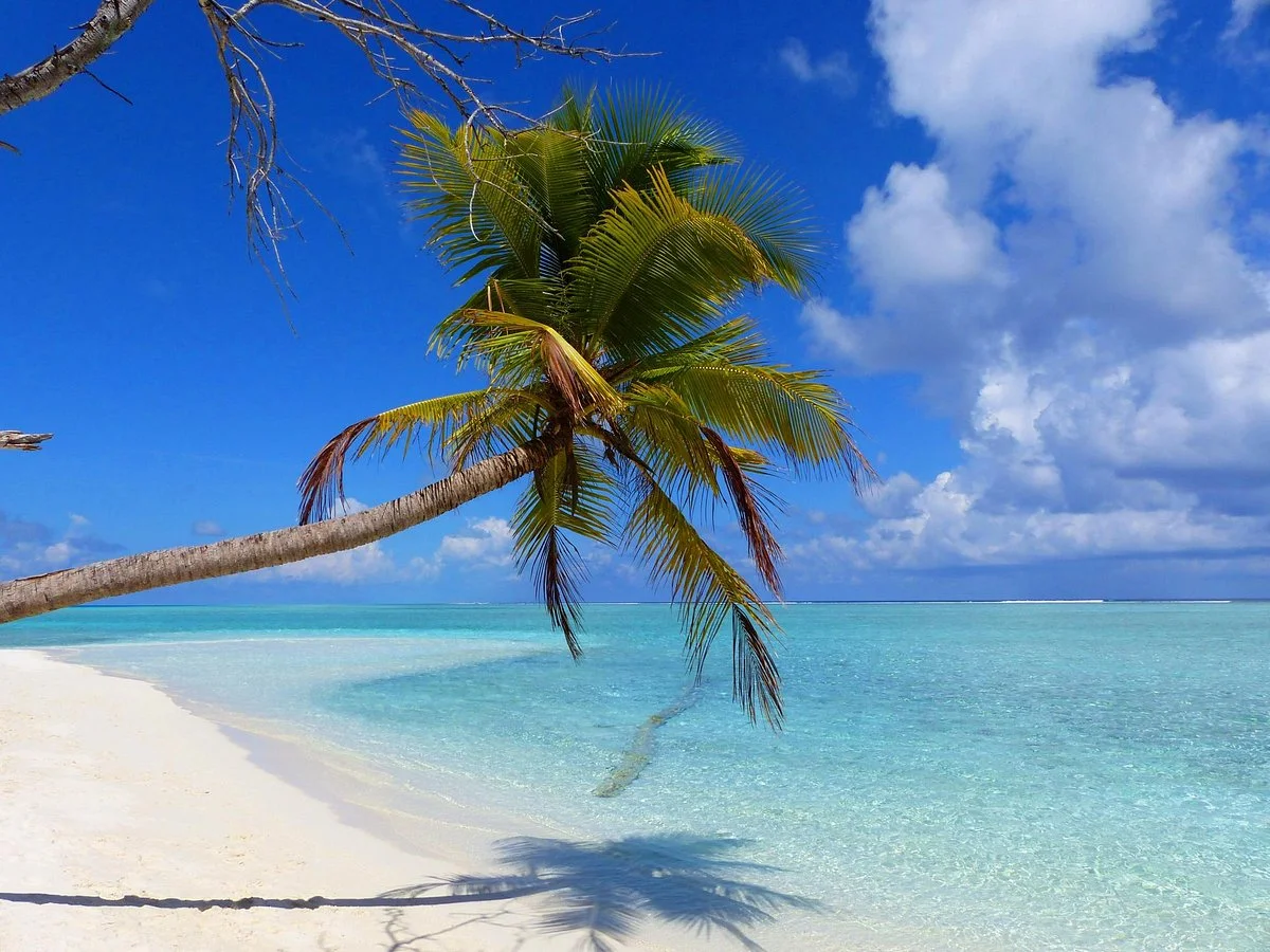 Bodu Mora