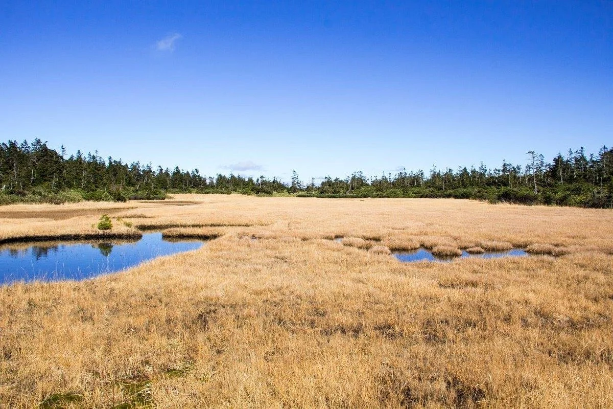 Kuroyachi Wetland