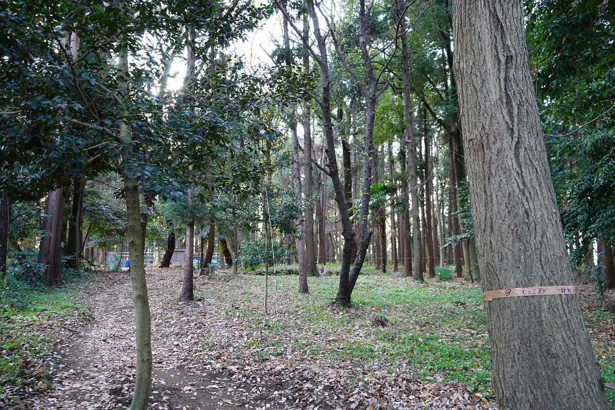 Nagamine no Mori
