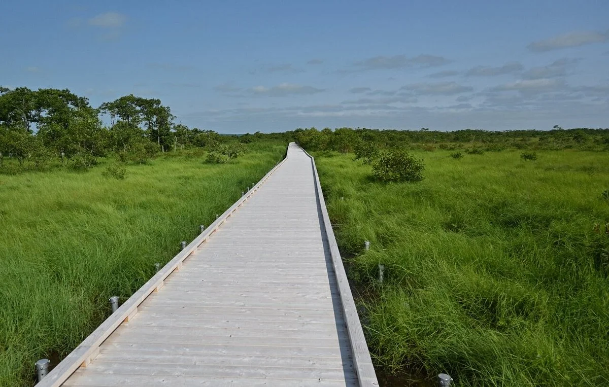 Onnenai Boardwalk