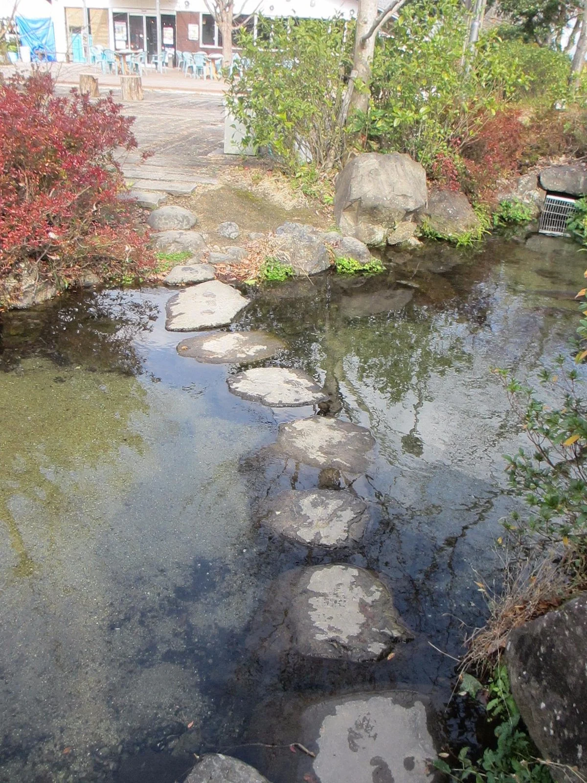 Yayoi Furusato Park
