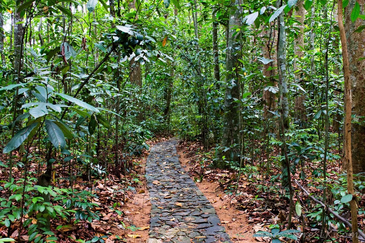 Horagolla National Park