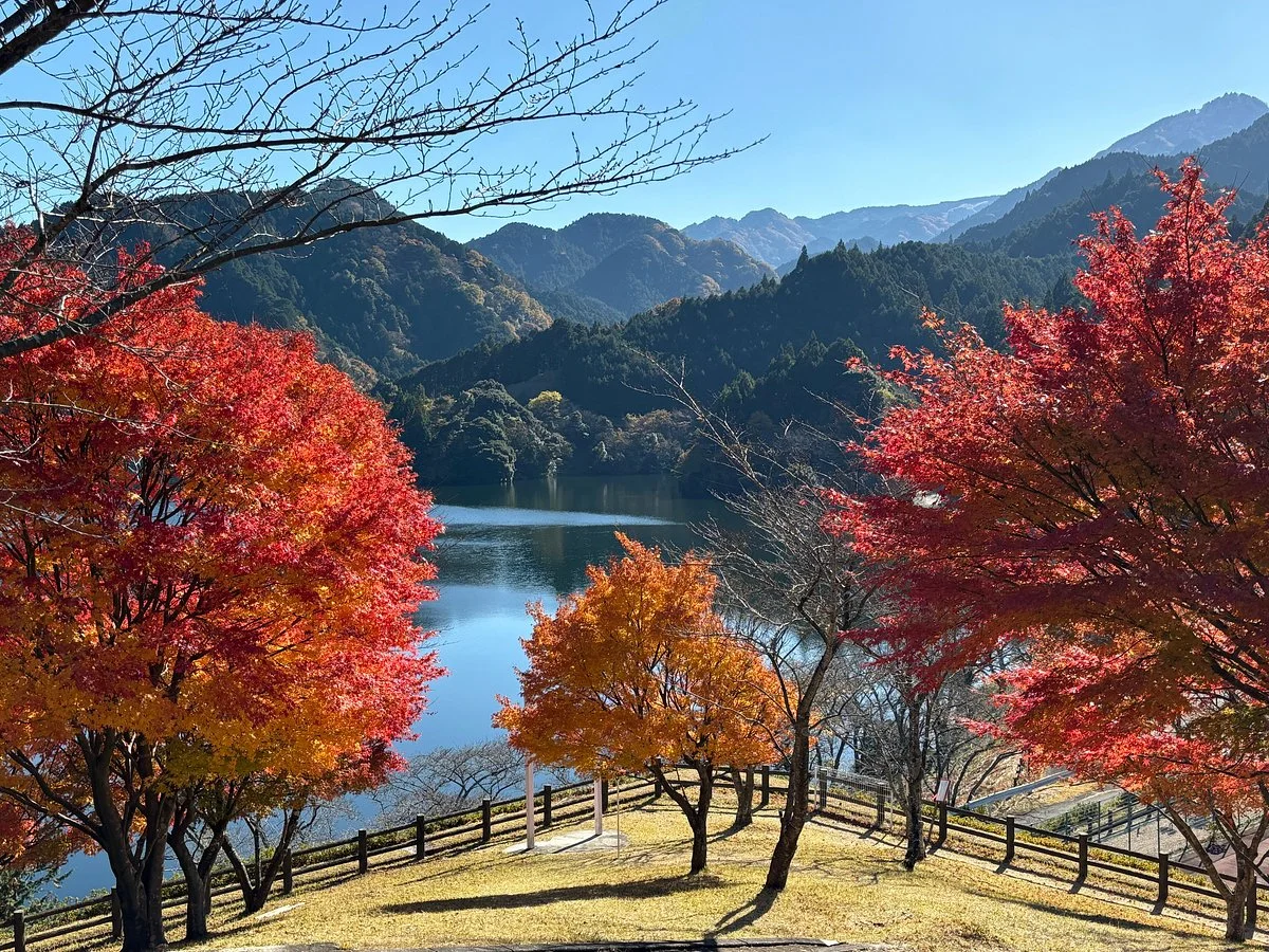 Syakujo Lake Fureai Park