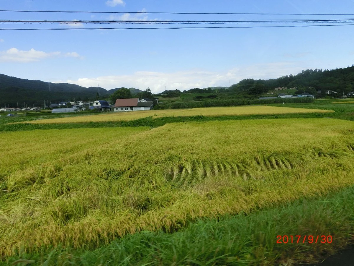 Road Staion Shiwa