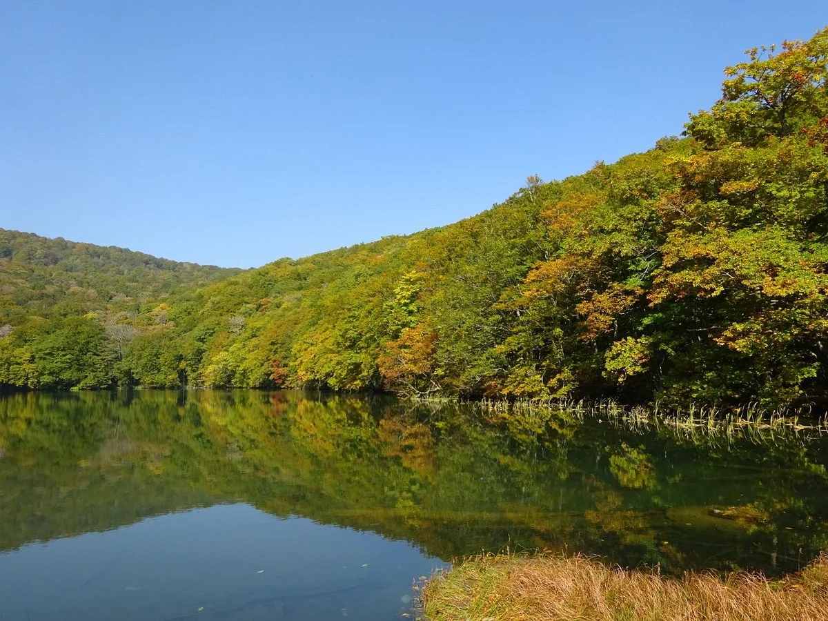 Tsutanonana Swamp