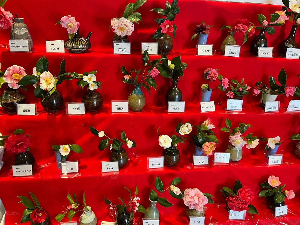 Kurume World Camellia Museum