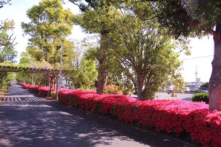 Shinrin Koen Ryokudo