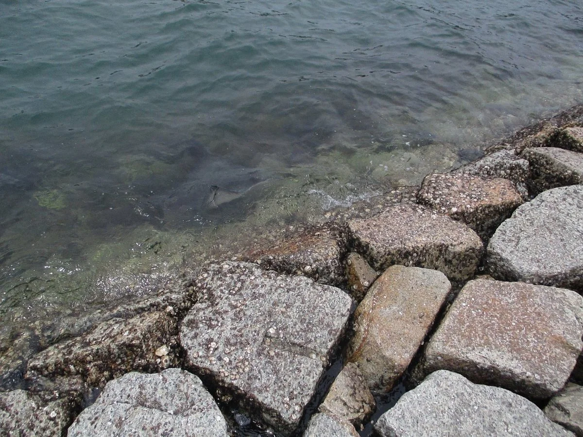 Tsuna Paranagua Park