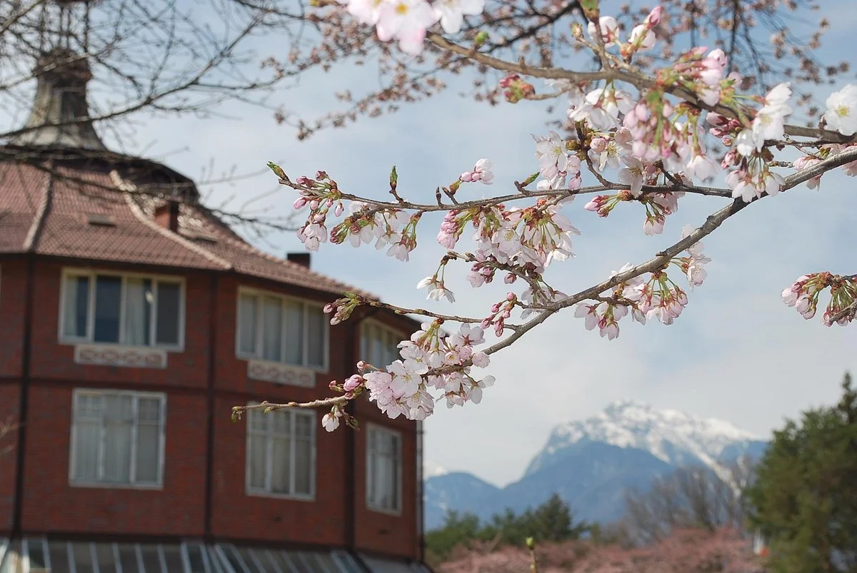 Kiyoharu Artist Village