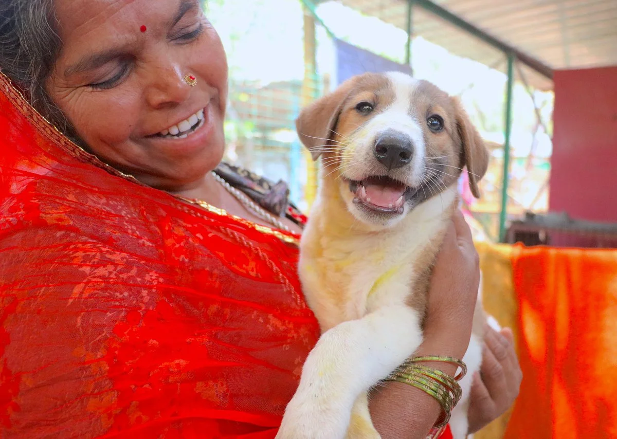 Animal Aid Unlimited