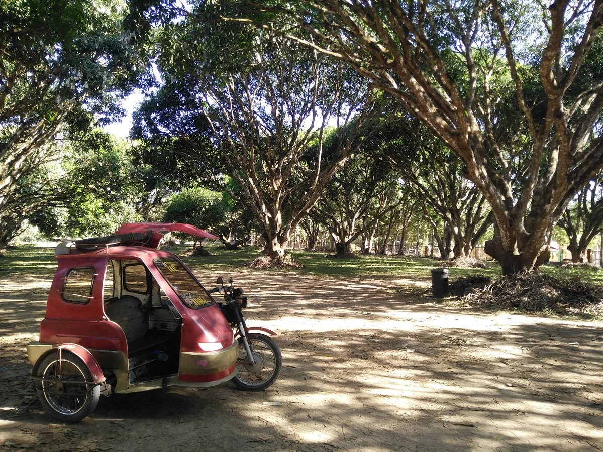National Mango Research and Development Center