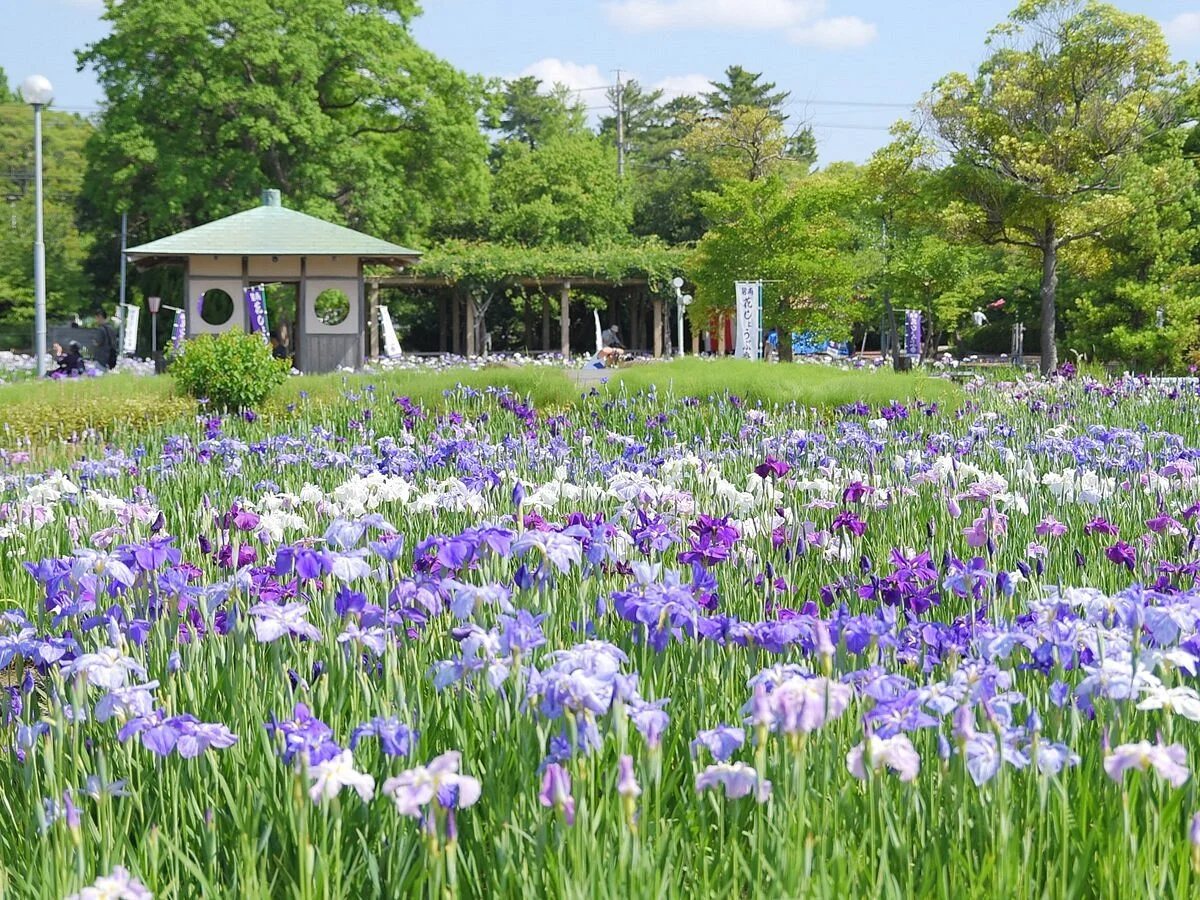 Aburagafuchi Yuenchi