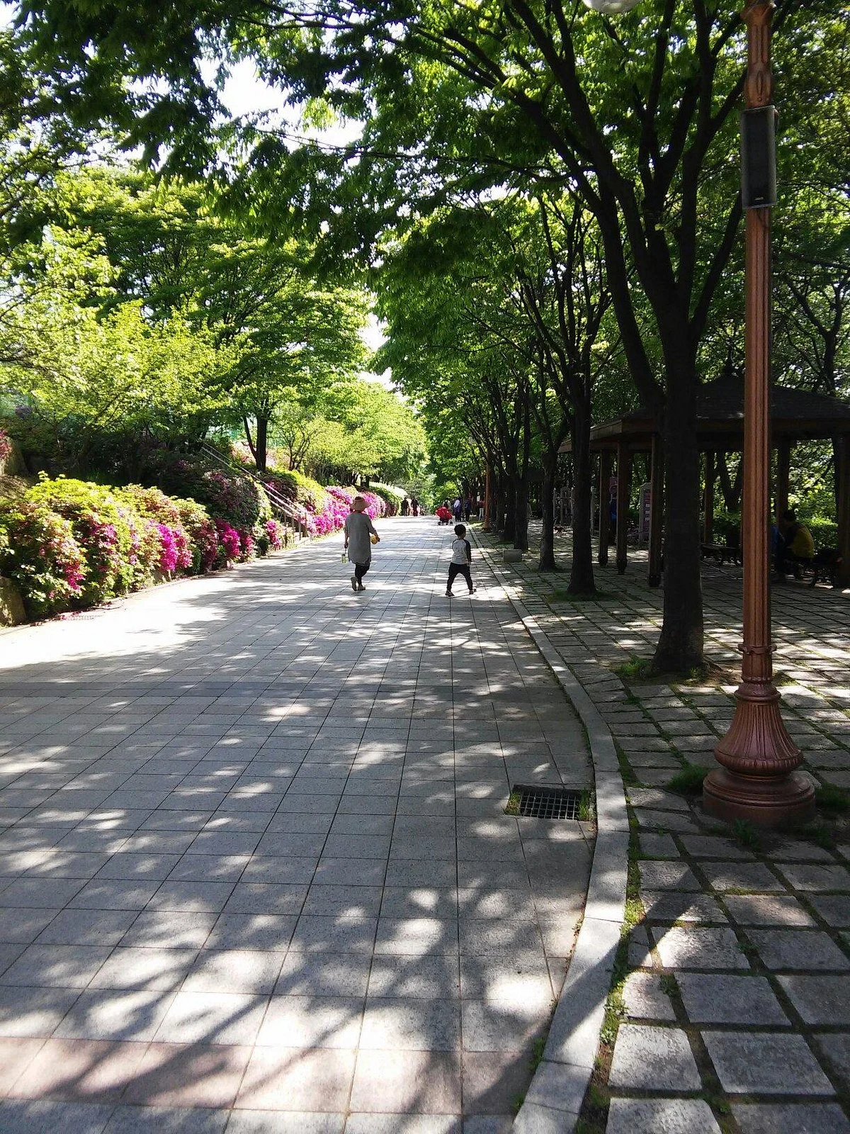 Hwangsong Park