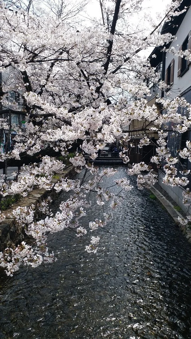 Takase River