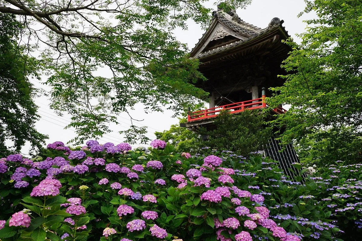Nogoji Temple(Hydrangea Temple)
