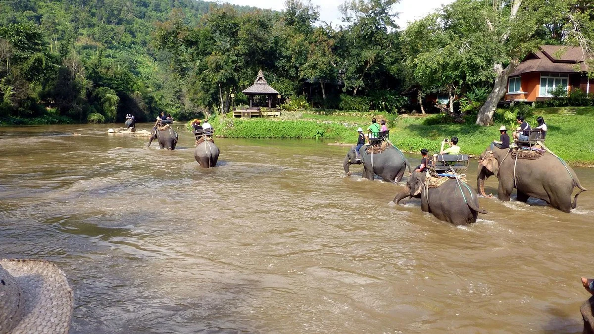 Maetaeng Elephant Park