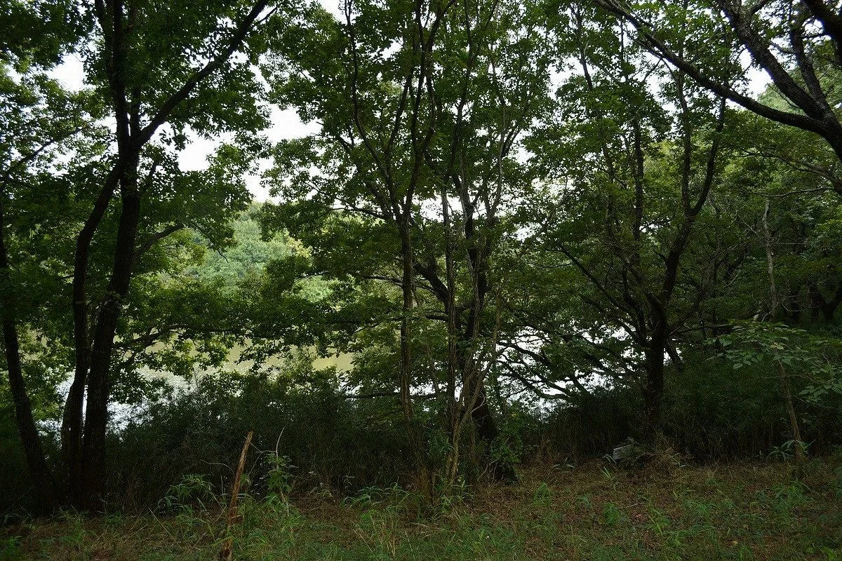 Hebinuma Park