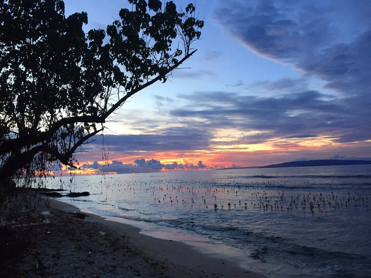 Manicani Island