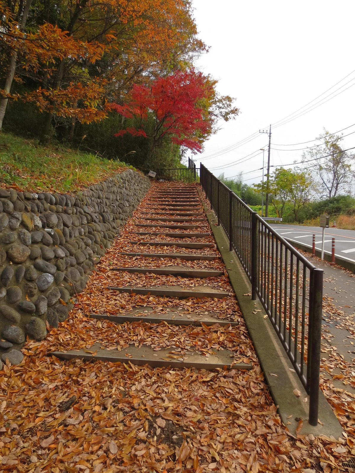 Ruins of Matsuyama Castle