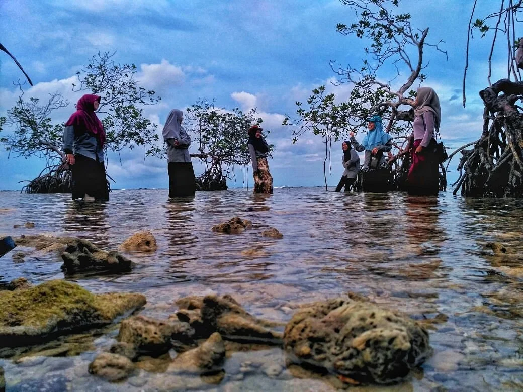 Sebira Island