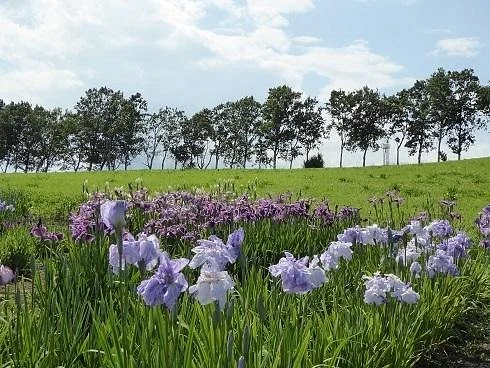 Hakkogakuen Hanashobupark