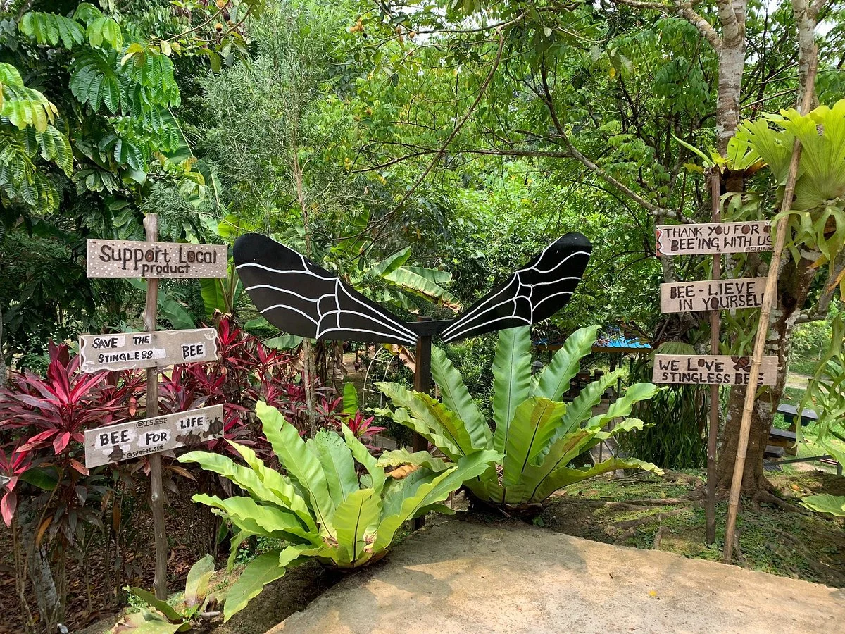 Tasbee Meliponiculture Farm