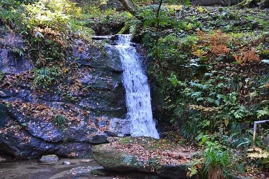 Kenryukyo