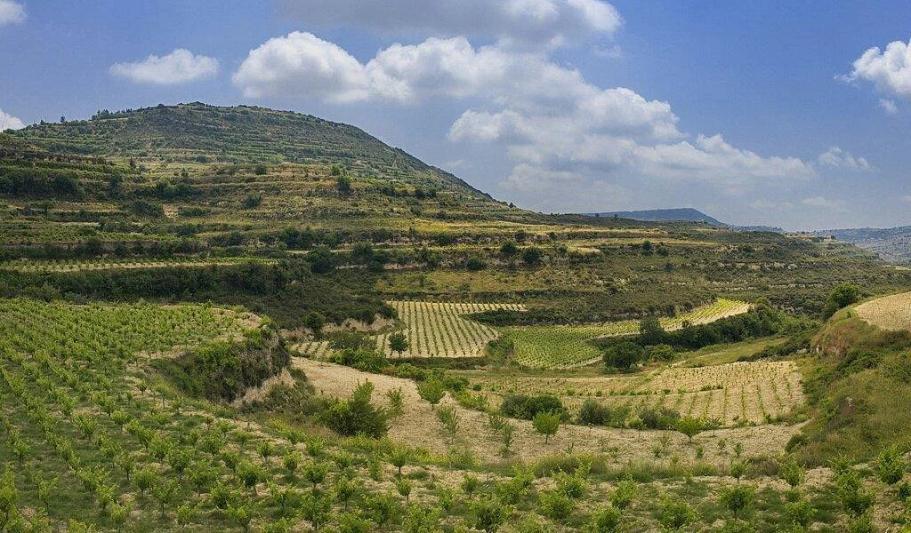 Fayoztepa