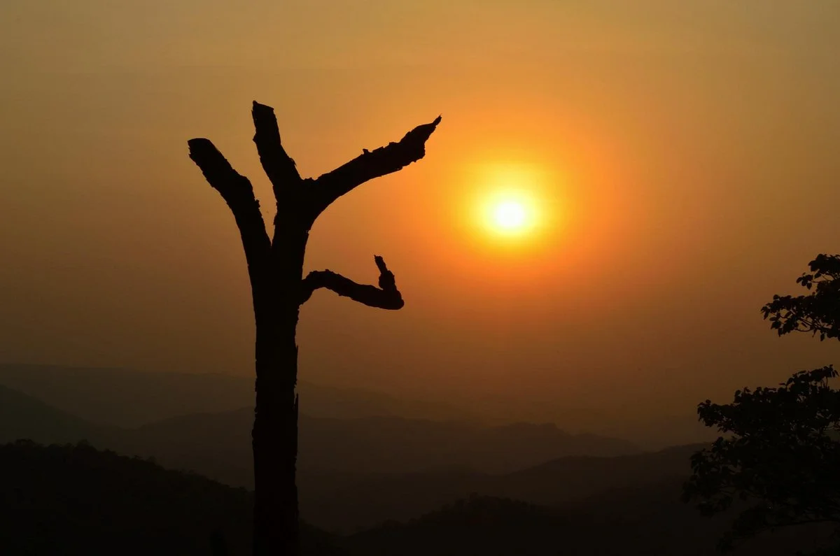 Magnolia Sunset Point