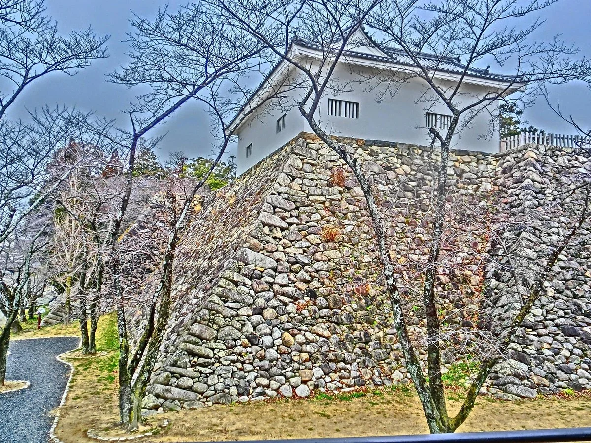 Kameyamajo Ato