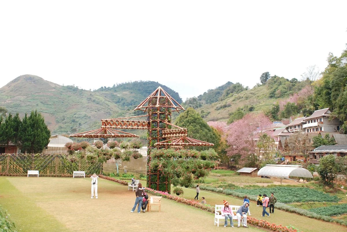 The Royal Agricultural Station Angkhang