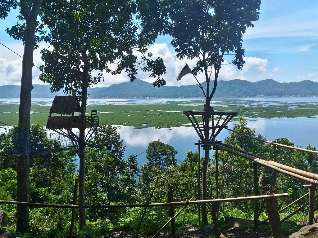 Urongo Tree House