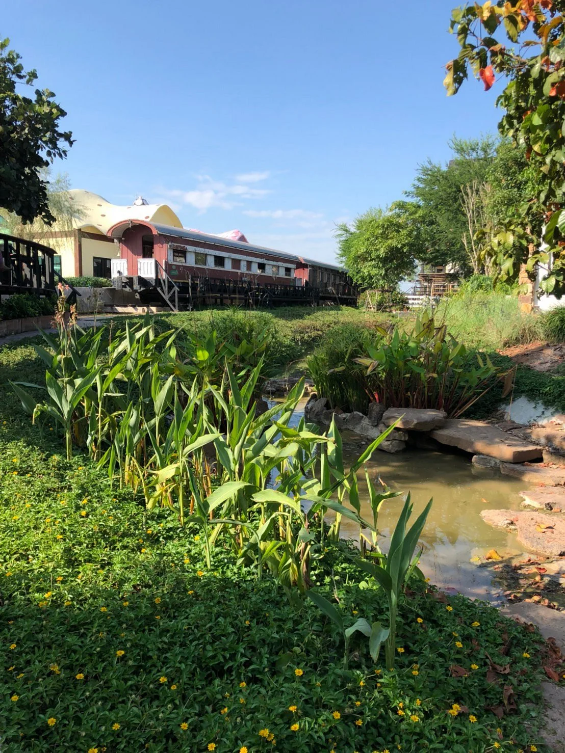 Aura Farm