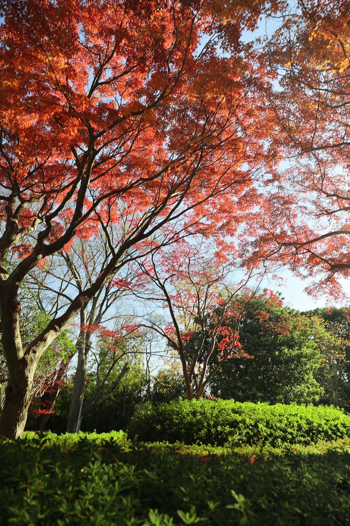 Tojogaoka Historical Park