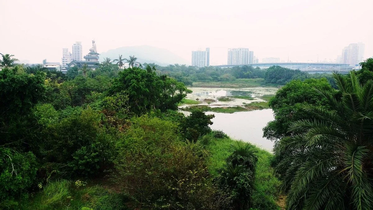 Zhouzi Wetland Park