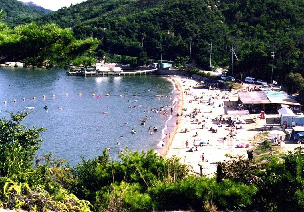 Desaki Dog Beach