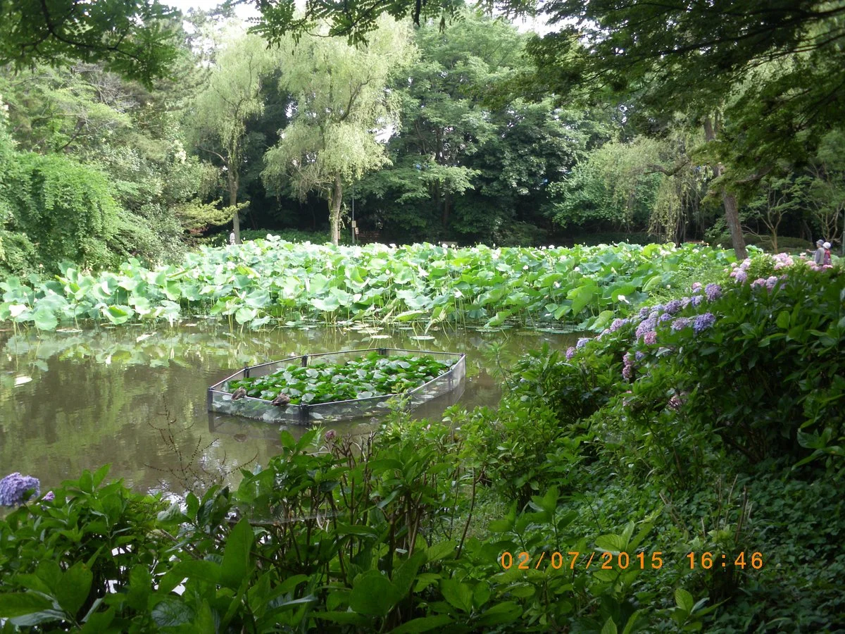Fujisaki Shinrin Park