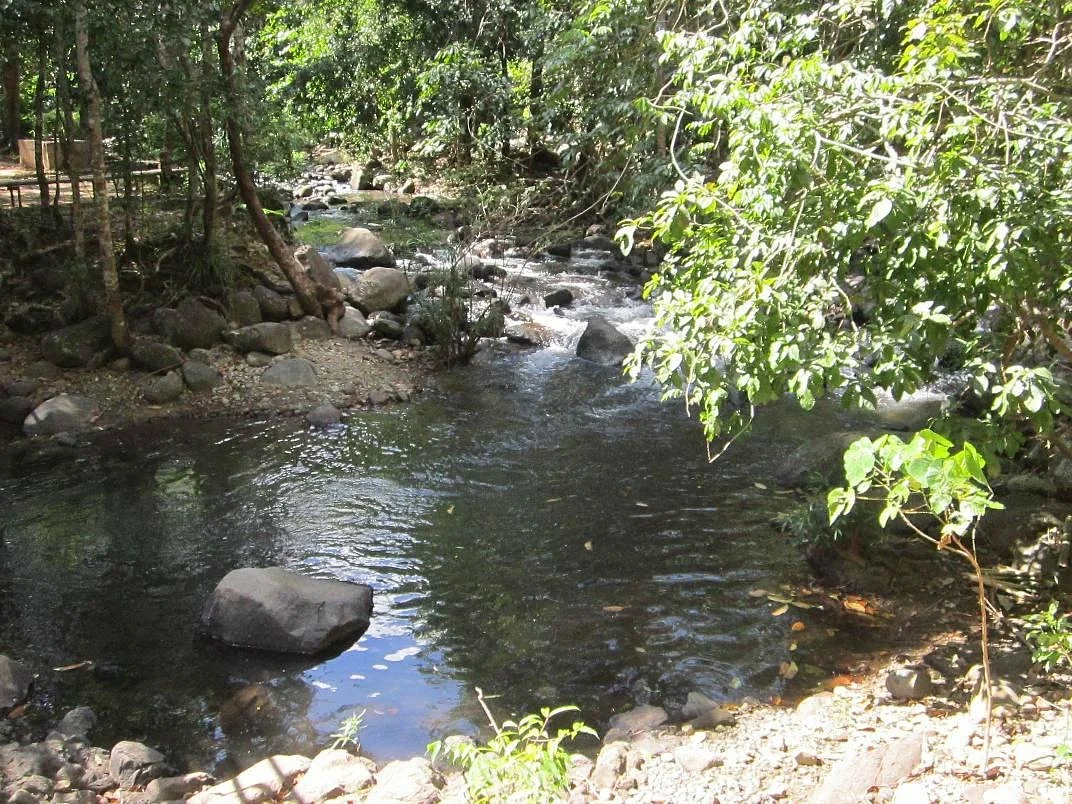 Pamulaklakin Forest Trail