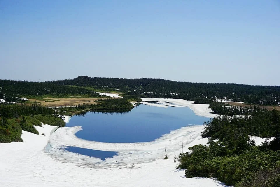 Hachiman Swamp