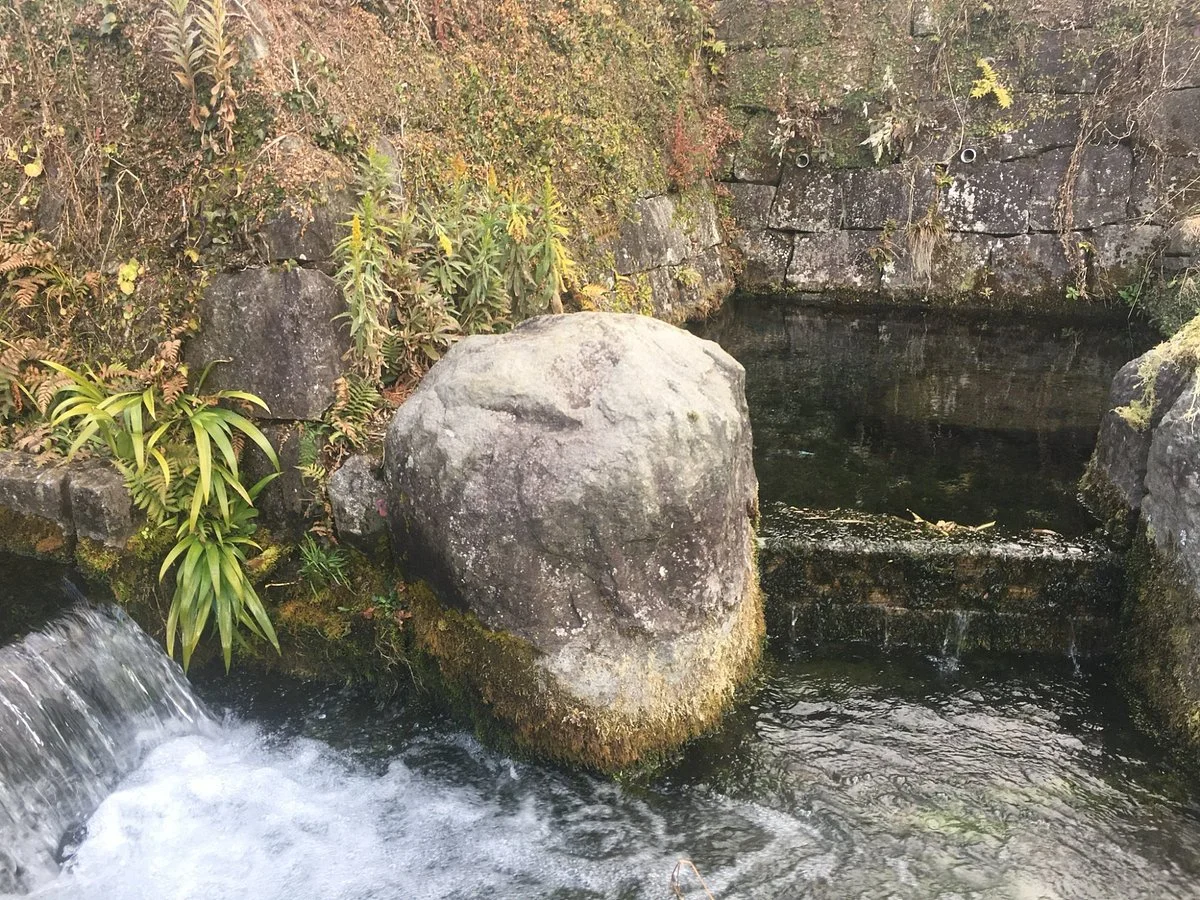 Yoshidajo Gokenjo Kumiba Spring