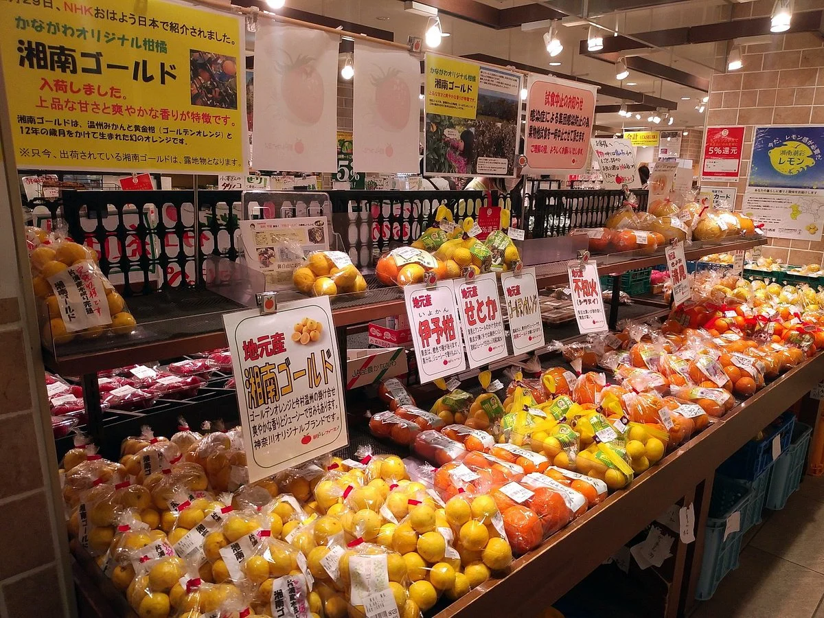 Harune Odawara