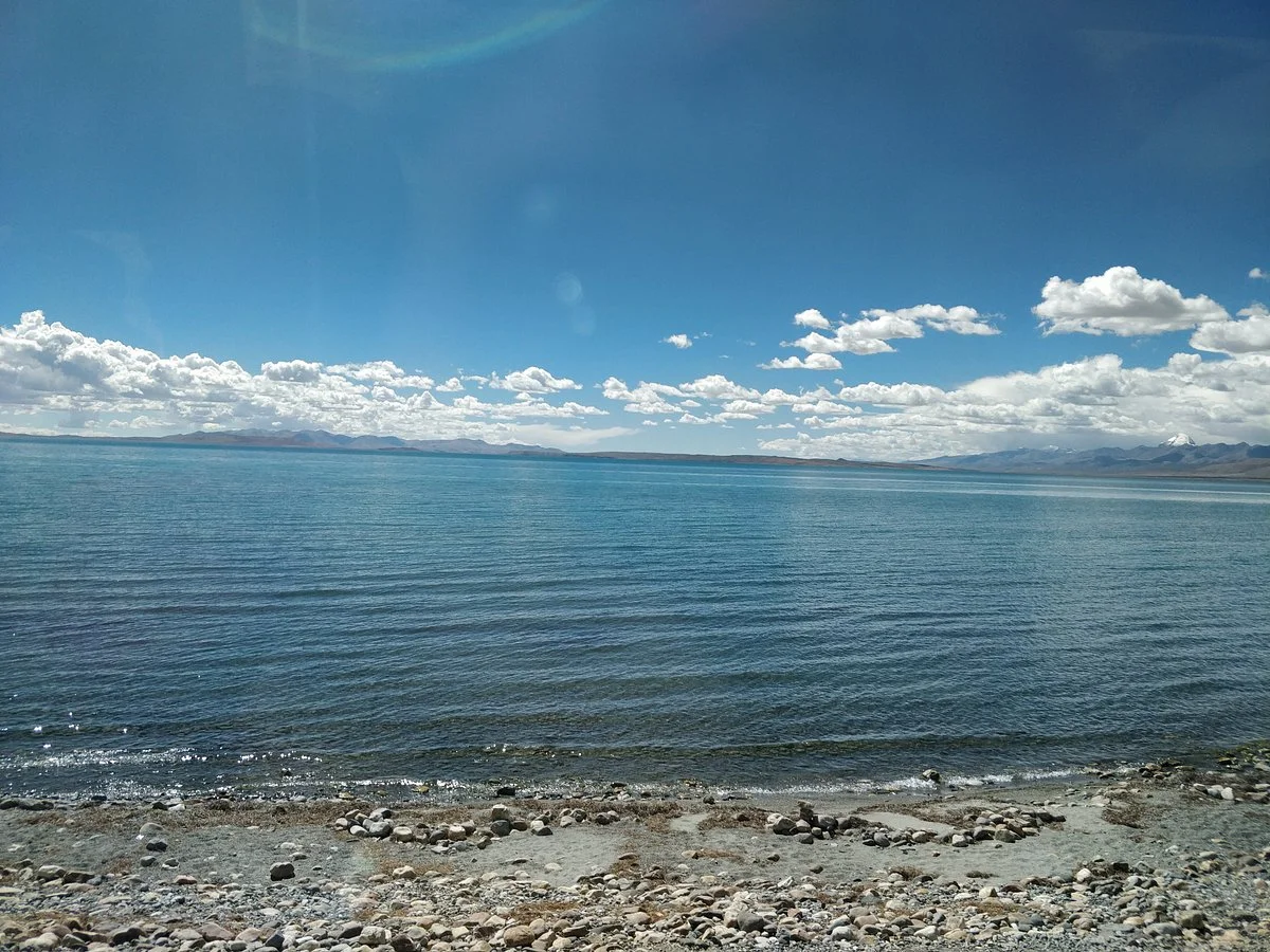 Manasarovar Wetland