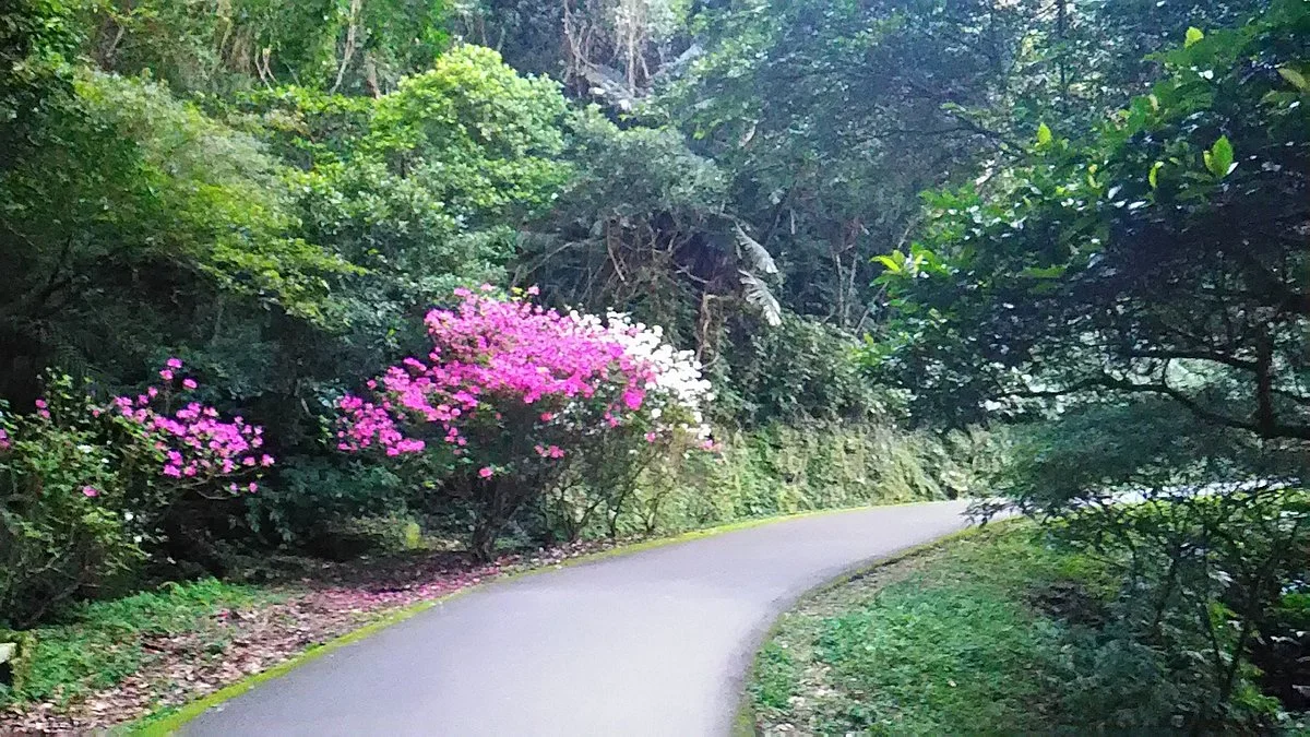 Baiji Shaded Trail