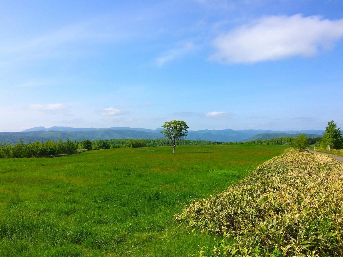 Taihei Highland Ranchs